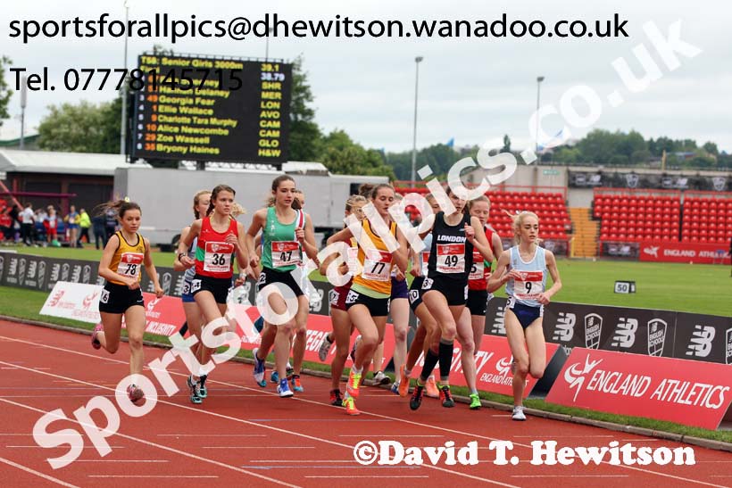 Senior girls 3000 metres, English Schools Track and Field. Photo: David T. Hewitson/Sports for All Pics